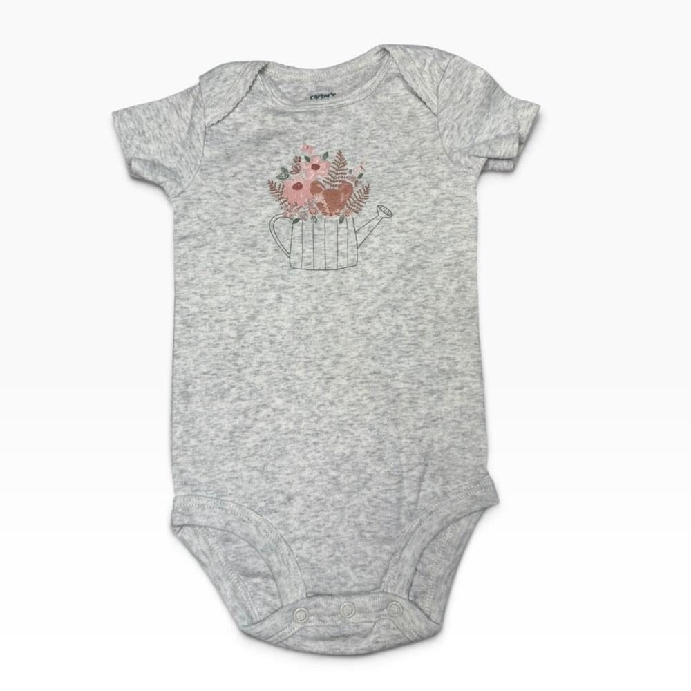 Carter's Bodysuit Matching Outfit Baby Girl Garden Gray Pink 9 Months - Picture 2 of 7